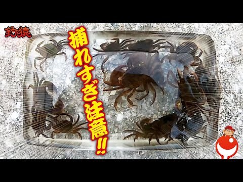 Get your fishing bait! Super easy! A crab trap that anyone can make for just 200 yen! Perfect for...