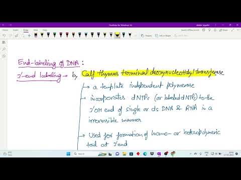 Nucleic Acid Hybridization 2