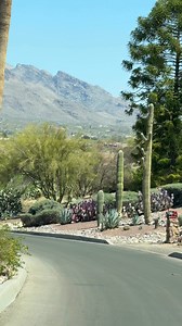 Beautiful Spring Day in Tucson | Spotted In Tucson