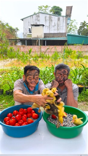 The two brothers are teasing each other in a super cute way 🍅🐤🦢🐓🦆🐔🐥🦃💩🐸🍑🐣🍉👶♥️👴 #shorts #cute