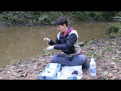 Video 4c: Phosphate Hach DR300 Handheld Colourimeter