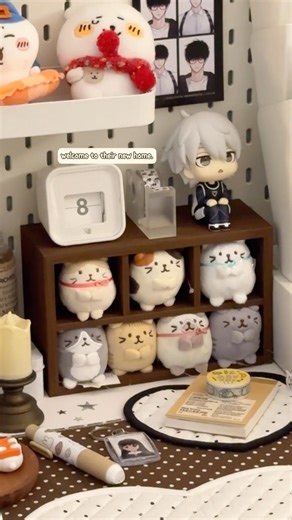 🍦🧸📦🤎#meetwithpet #unboxing #chiikawa #bestpetsupplies #cuteanimal #petshub #cutepet #gift