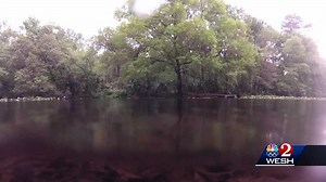 Group nearly attacked by gator while kayaking in Central Florida