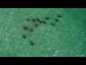 Rays of Long Island (4K Drone Footage)