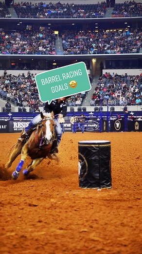 Horse Illustrated on TikTok