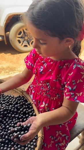 Ela tá fazendo açaí kkkkkk | Heloise filha da Katiaoficial
