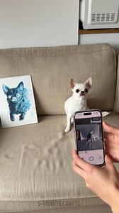 16K views · 32 reactions | Creative Painting with Inverted Colors! | 5-Minute Crafts Play | Facebook