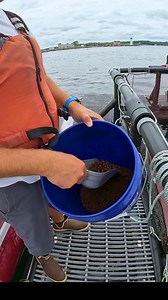 28K views · 318 reactions | The Problem with Farming Fish | Tackle2thePeople | Facebook