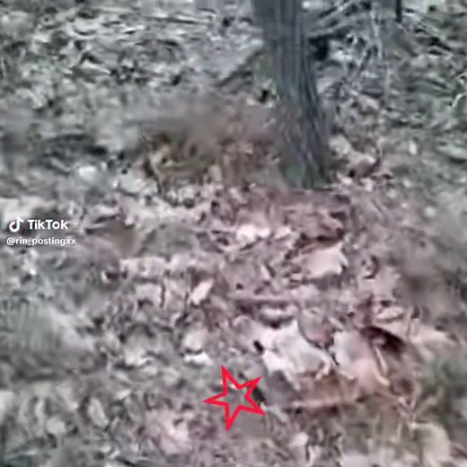 alan tutorial #shitposting #contenido #ghost #military#horror #👻