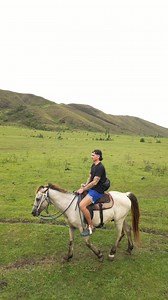 Quit horsing around | Tom Barrett