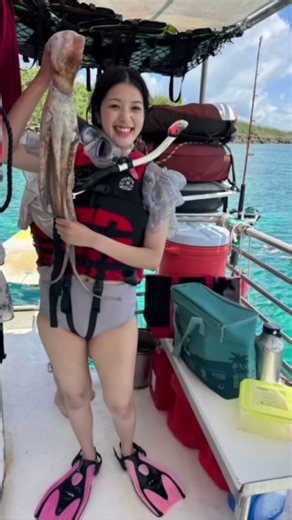 グアムの海は毎日ちがう🐬 大きなタコや魚に出会う日も！｜イルカ＆ウミガメツアー #グアム #グアム旅行 #ダイビングショップ #travel #aquabreezeguam
