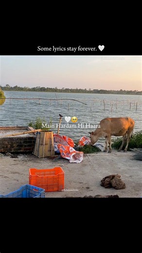 Hothon Se Chhu Lo Tum | Aesthetic Lyrics Status | Nature & Travel Vibes #oldsong #sad#noticesong