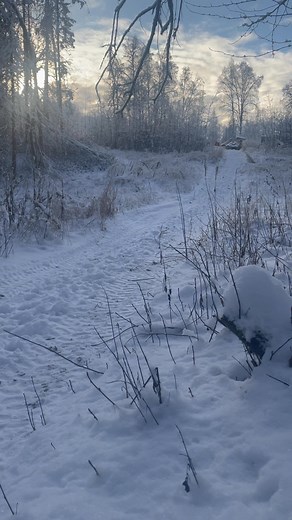 Temps have dropped. Everything is frozen! We just need more snow to make the switch to sleds… start doing your snow dance!!! | Dream Big Kennel - Beckie Hacker