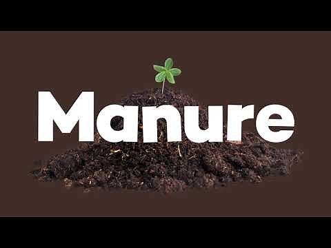 WHAT IS MANURE 💩 Episodes for Kids | Lingokids