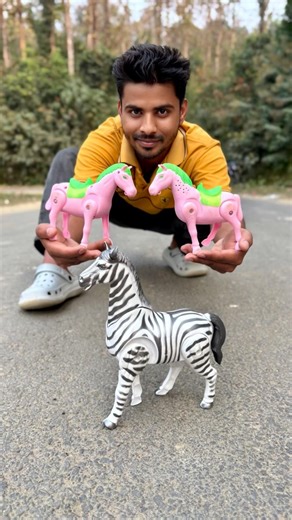 Duita Rc Suto Horse And Remote Control Zebra Unboxing 😍