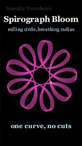 Spirograph Bloom: One Continuous Curve #math #art #shorts #maths #satisfying #mathematics #animation