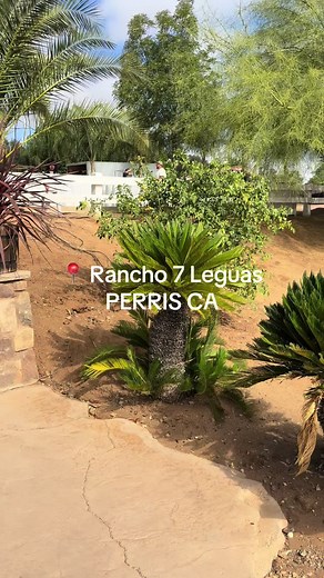 Descubre el hermoso lugar para bodas en Rancho 7 Leguas