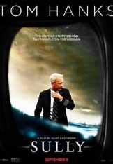 Sully - Miracolul de pe raul Hudson (2016) Online Subtitrat in Romana - DivX Filme Online