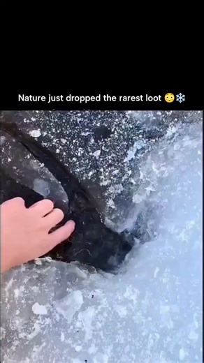 Science Hub on Instagram: "The post features a 10-second video of a hand delicately extracting a long, translucent icicle resembling a sword from a frozen stream edge, captivating viewers with nature's precise formation and amassing 29,000 likes and 900,000 views within 24 hours. This flexible ice strand forms when thin surface ice over flowing water stretches without breaking, a property explained by research in Science Advances (2021) showing ice nanowires bend like plastic due to mobile dislo