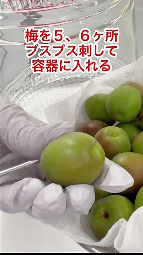 失敗なし！自家製『ブランデー梅酒』 簡単に誰でも作れる♪#shorts