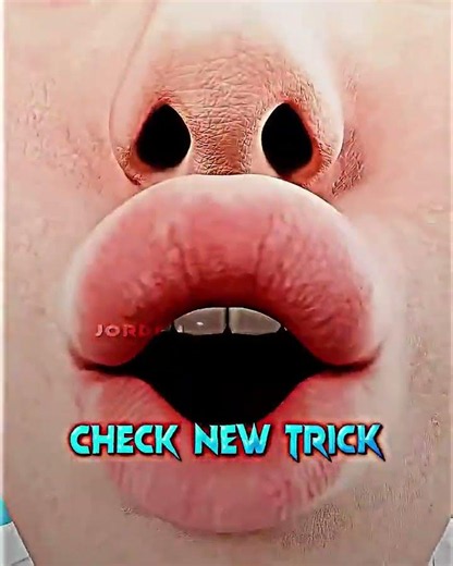 #typography