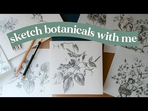 Flower drawing with pencil 🌷🌿 realistic shading + sketch tour