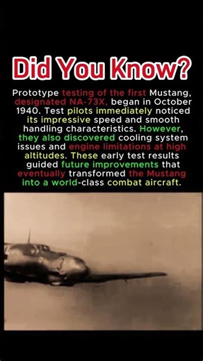 Prototype Testing Made the Mustang Combat Ready #P51Mustang #PrototypeTesting #WWIIAircraft