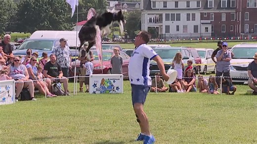 Frisbee dogs featured at York Fair