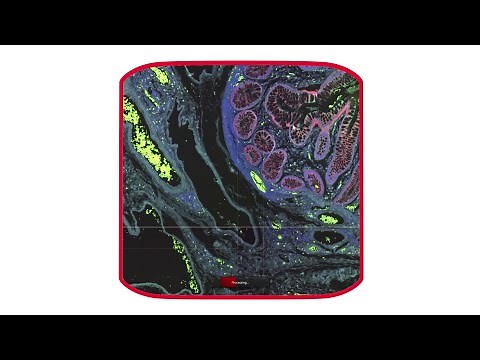 How to scan multiple positions and larger samples