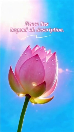 Peace lies beyond all description #Peace #lies beyond all description