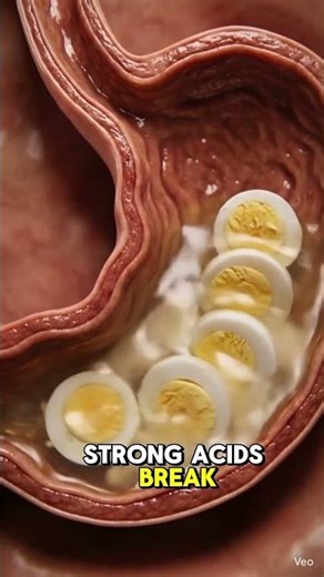 Eat Eggs Everyday...Watch What Really Happens 🥚 🤯 #shorts #healthawareness #learnonyt