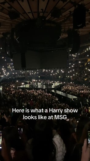 Experience a Harry Styles Concert at Madison Square Garden