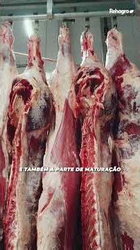 POR QUE A CARNE FICOU MUITO MELHOR NO BRASIL?