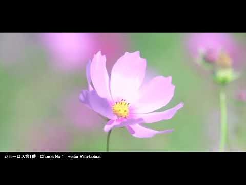 【playlist】クラシックギター名曲集BGM / South American/Latin American guitar music (classical guitar)