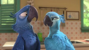 En route vers la forêt amazonienne dans Rio 2 dès 17h15! | Noovo