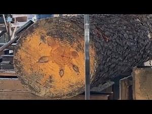 Sawing a Giant Pine Log with Knots — The Wood Grain Inside is Incredible!