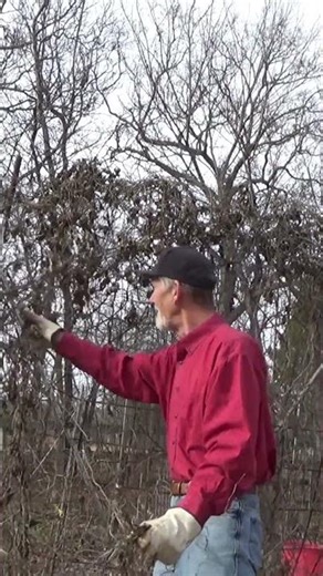 How fast garden seasons change