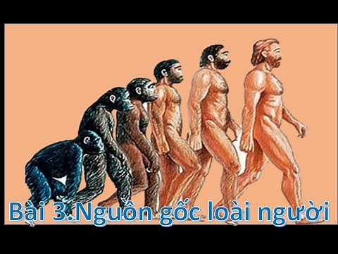 BÀI 3 _LỊCH SỬ 6. NGUỒN GỐC LOÀI NGƯỜI