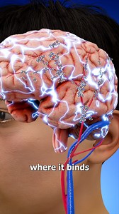 How A Nicotine Patch Works 🤔 | Zack D. Films