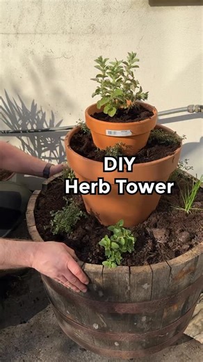 One of our favorite projects of 2025 🪴🪴🪴 | Urban Herbs