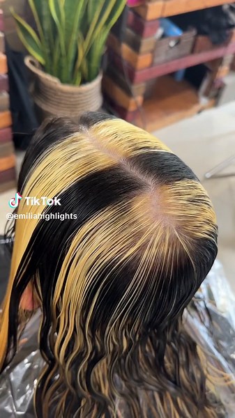 Chunky Skunk Stripe Highlights Tutorial