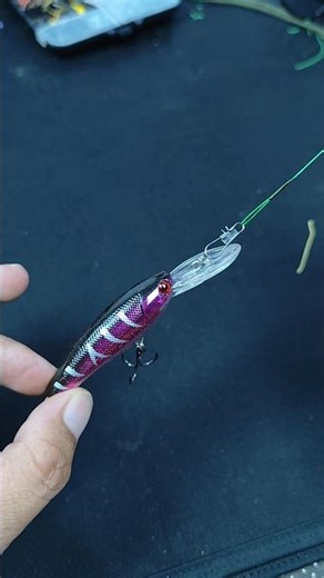 The Correct Way to Rig a Minnow Lure (Most Beginners Do This Wrong) #fishing #fishinghack
