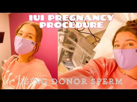 My IUI Pregnancy Procedure Using Donor Sperm