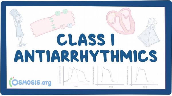 Class I antiarrhythmics: Sodium channel blockers: Video, Causes, & Meaning | Osmosis