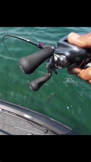 [Bass Fishing] Huge bass caught in Lake Biwa! A popular swimbait was used and it got a serious bi...