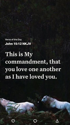 John 15:12 This is My commandment, that you love one another as I have loved you.