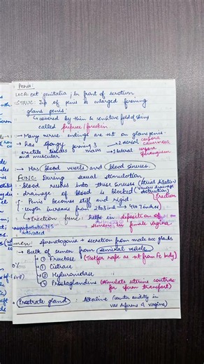 Human Reproduction notes (Class 12 ISC Biology notes) #class12 #biology #science #isc #study