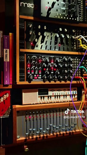 #moog #subharmonicon #DFAM