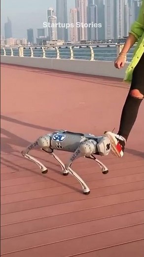 | CANE ROBOT GO1 | Startups & Tecnologia