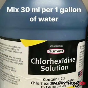 23 reactions · 4 comments | Some simple Ball Python hacks from me to you. Link in Comments for full video! Please subscribe! | Ball Pythons 101 | Facebook